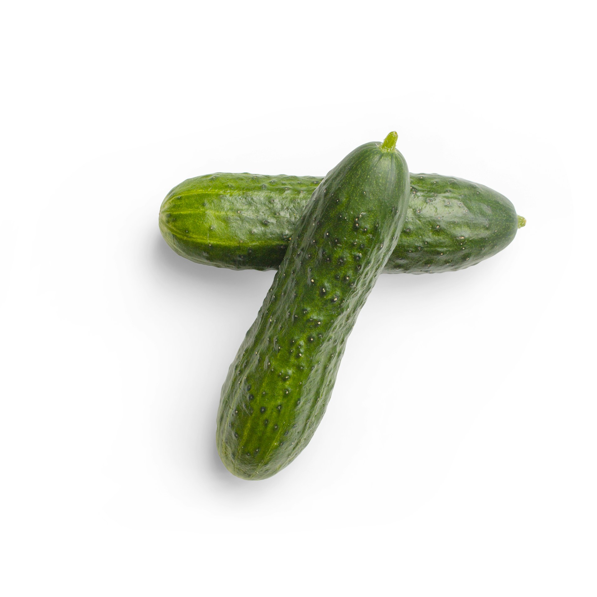 Cucumber Seeds – Ashley